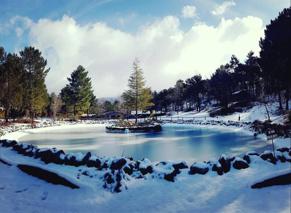 Chalet Esmeralda 3 D Y 2 Banos Zafiro Lagunazo Parque Natural Rio Mundo Riópar 外观 照片
