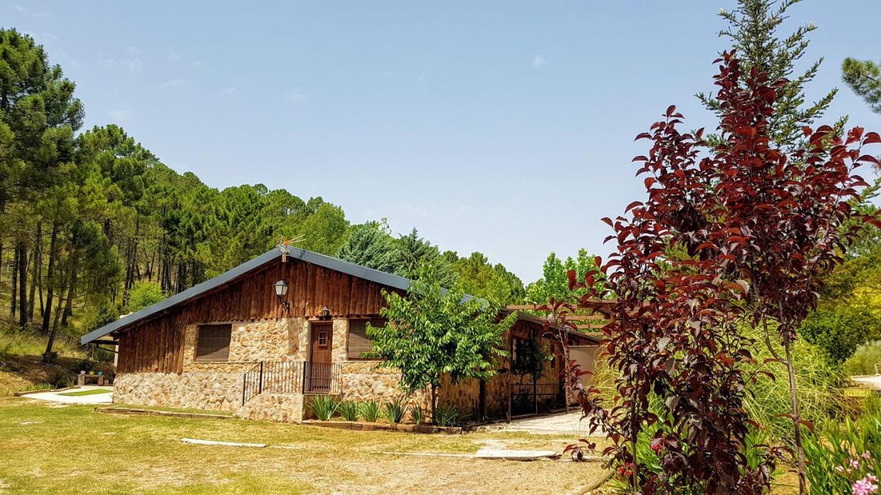 Chalet Esmeralda 3 D Y 2 Banos Zafiro Lagunazo Parque Natural Rio Mundo Riópar 外观 照片