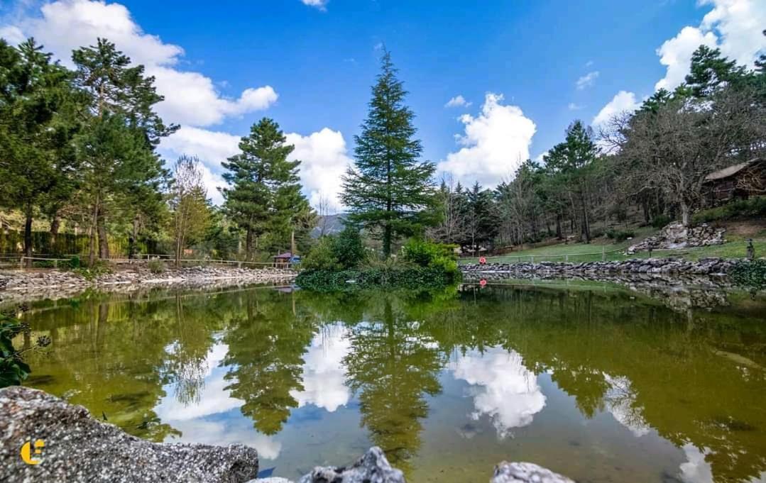 Chalet Esmeralda 3 D Y 2 Banos Zafiro Lagunazo Parque Natural Rio Mundo Riópar 外观 照片