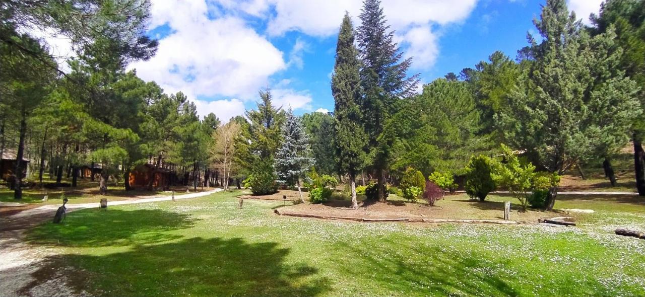 Chalet Esmeralda 3 D Y 2 Banos Zafiro Lagunazo Parque Natural Rio Mundo Riópar 外观 照片