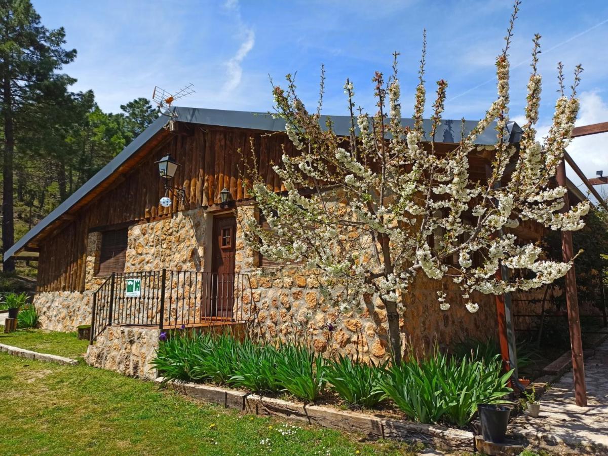 Chalet Esmeralda 3 D Y 2 Banos Zafiro Lagunazo Parque Natural Rio Mundo Riópar 外观 照片