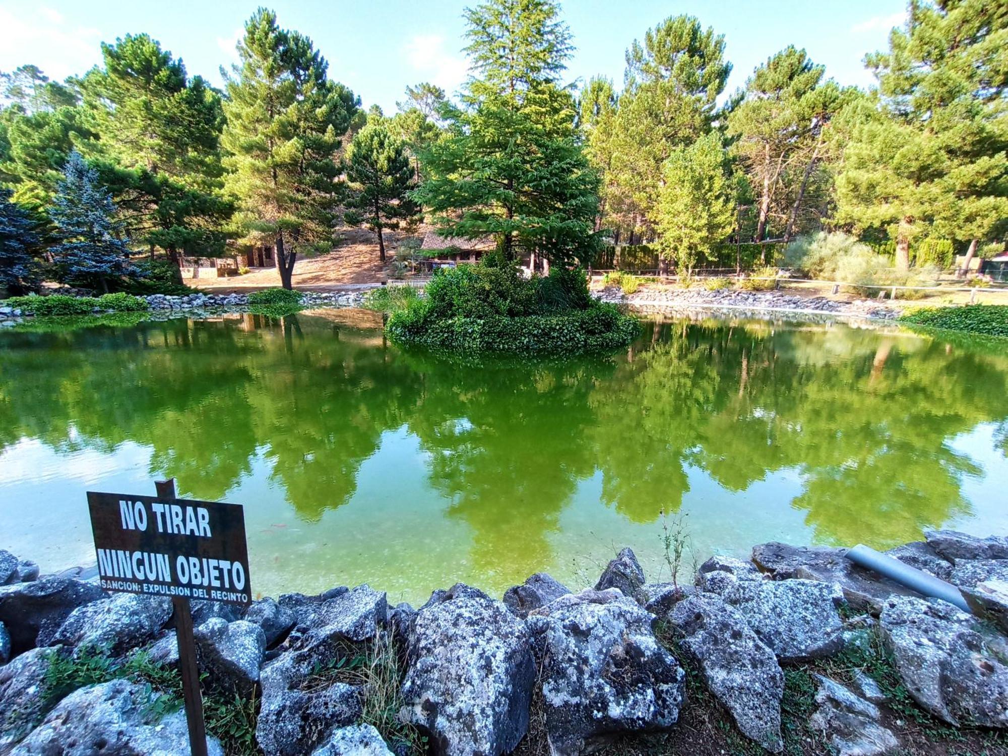 Chalet Esmeralda 3 D Y 2 Banos Zafiro Lagunazo Parque Natural Rio Mundo Riópar 外观 照片